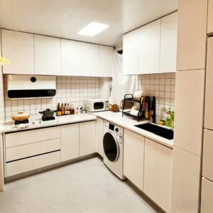 Mildew-proof & Antibacterial Welded Aluminum Cabinet, Eco-friendly Waterproof Aluminum Alloy Kitchen Cabinet Customization