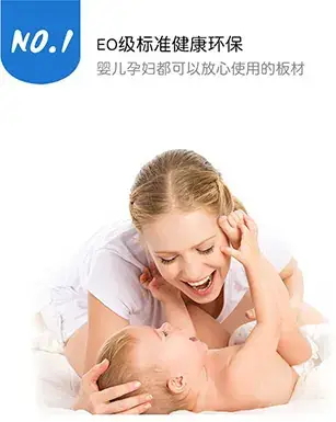 E0级环保
